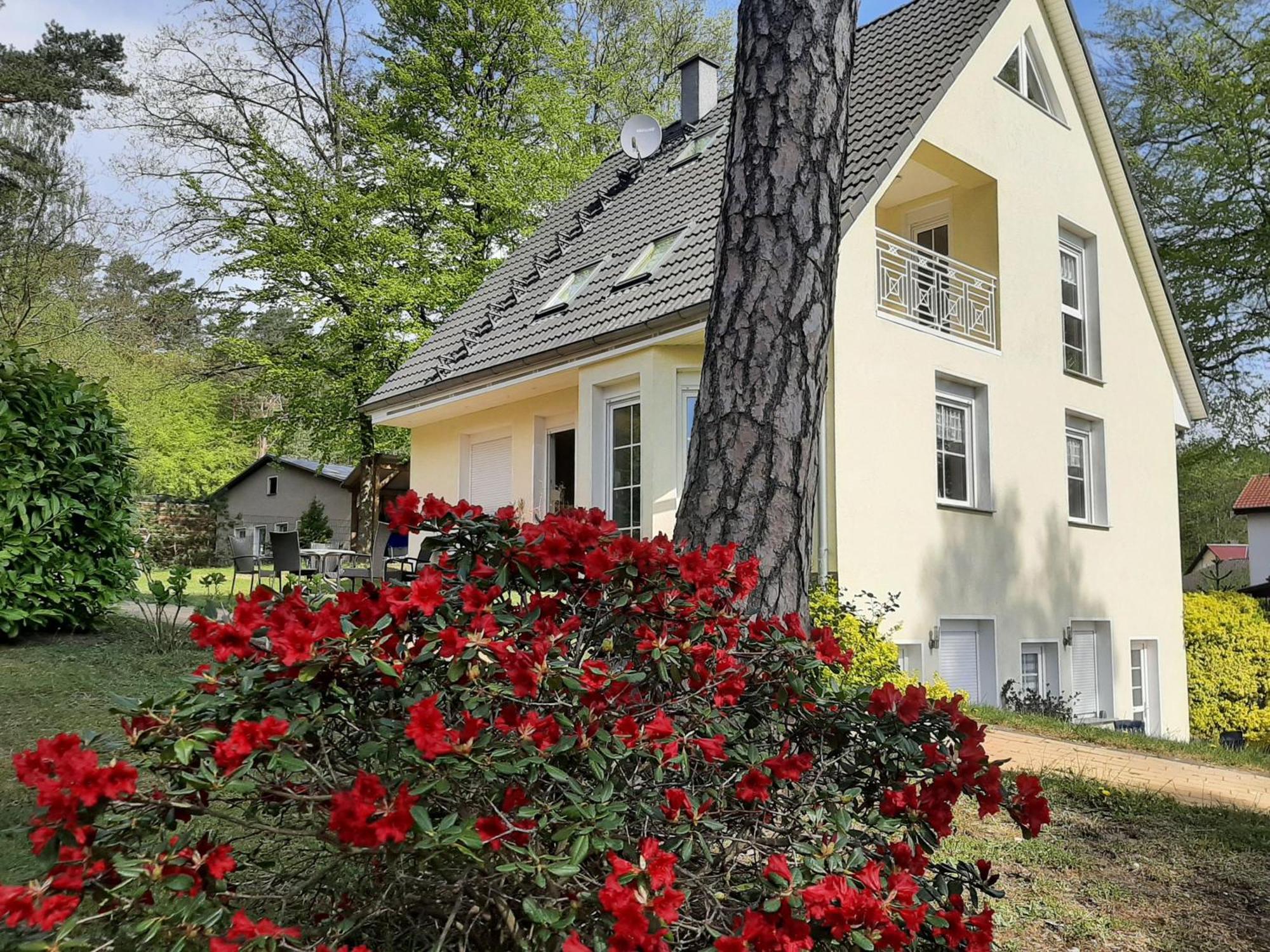 Bansin, Ferienwohnung Bansin Heringsdorf  Esterno foto